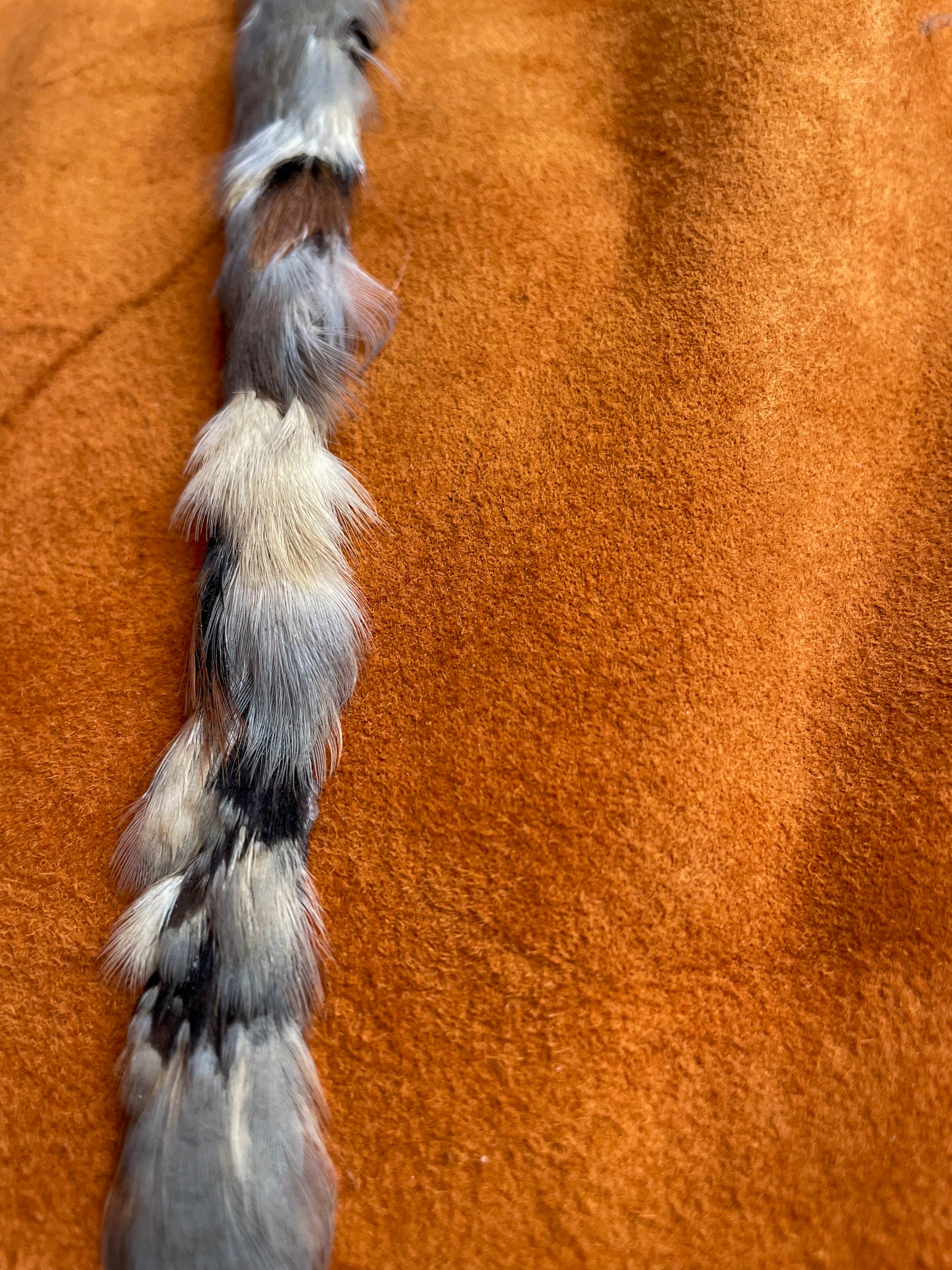 Close-up on the hatband of soft blue-grey and neutral feather textures.