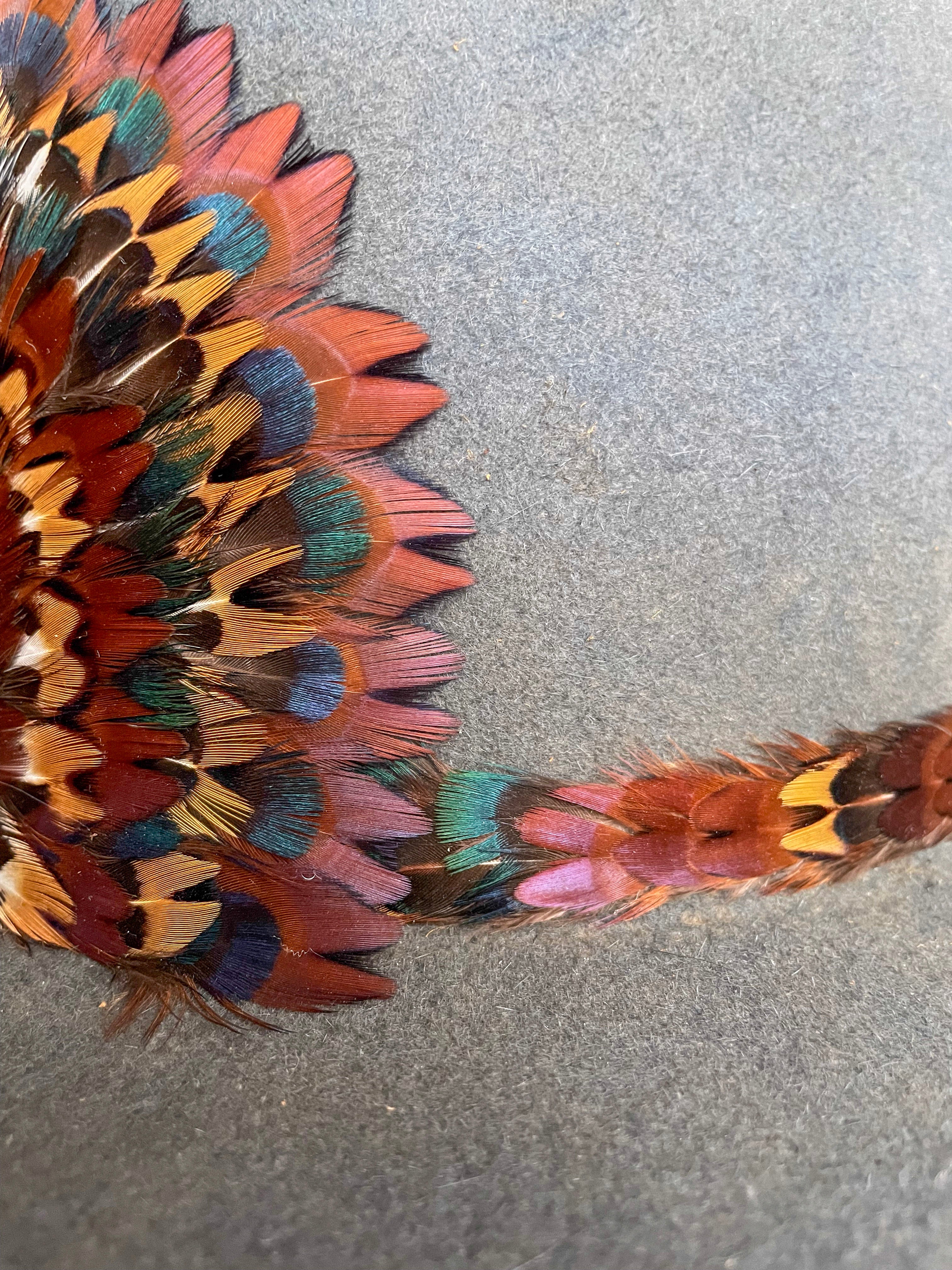 A side view close up of a handcrafted hatband and removable feather medallion built from the iridescent neck feathers of a wild rooster pheasant on a steel blue felt hat.