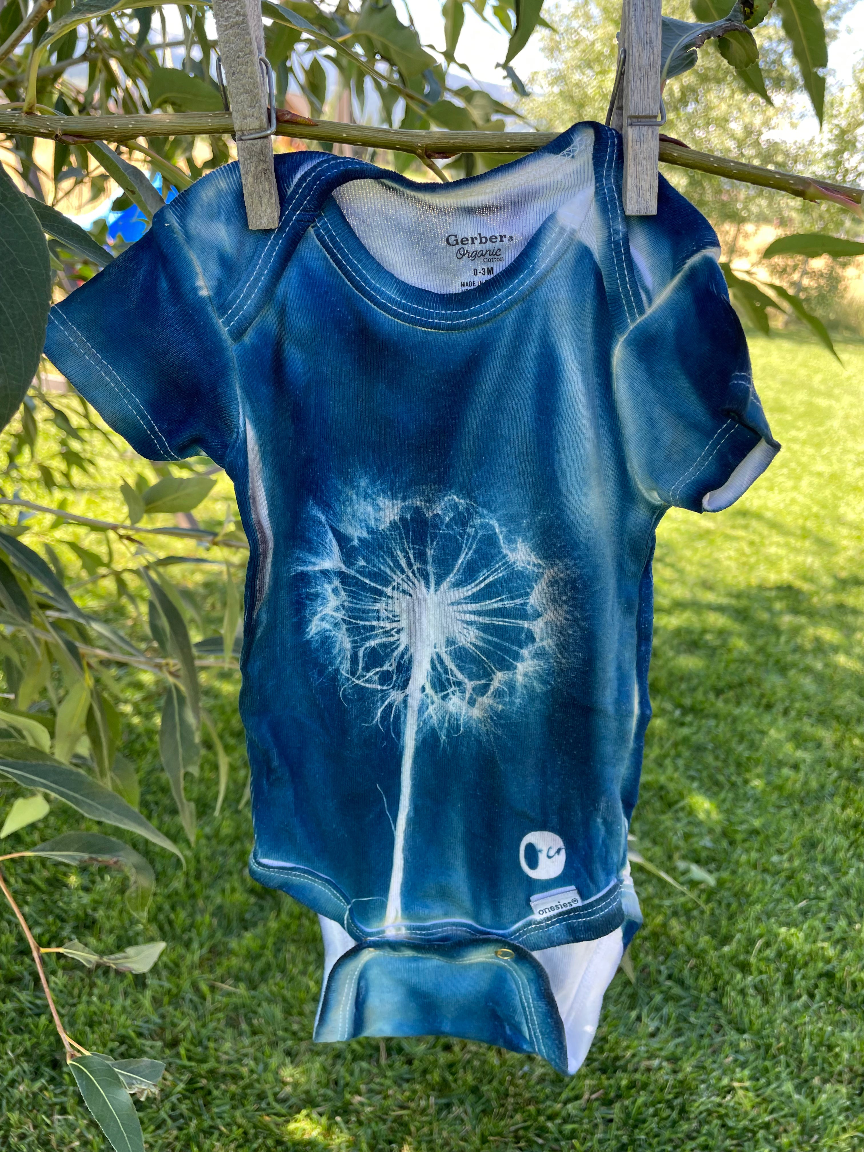 Dandelion: 0-3 Month Organic Cotton Onesie