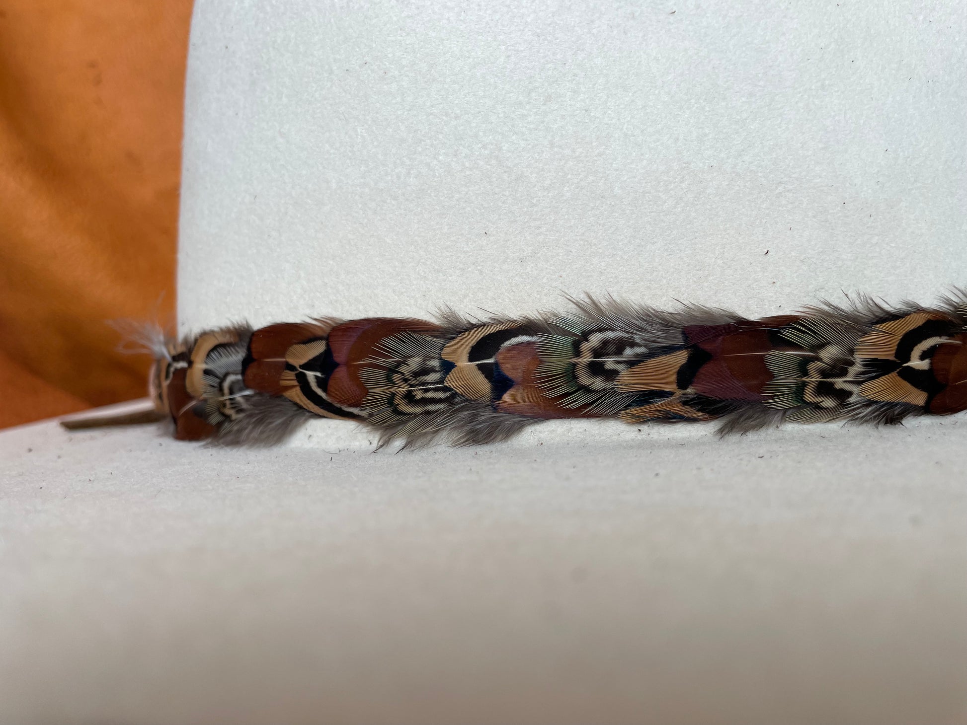 Close-up of structured feather pattern