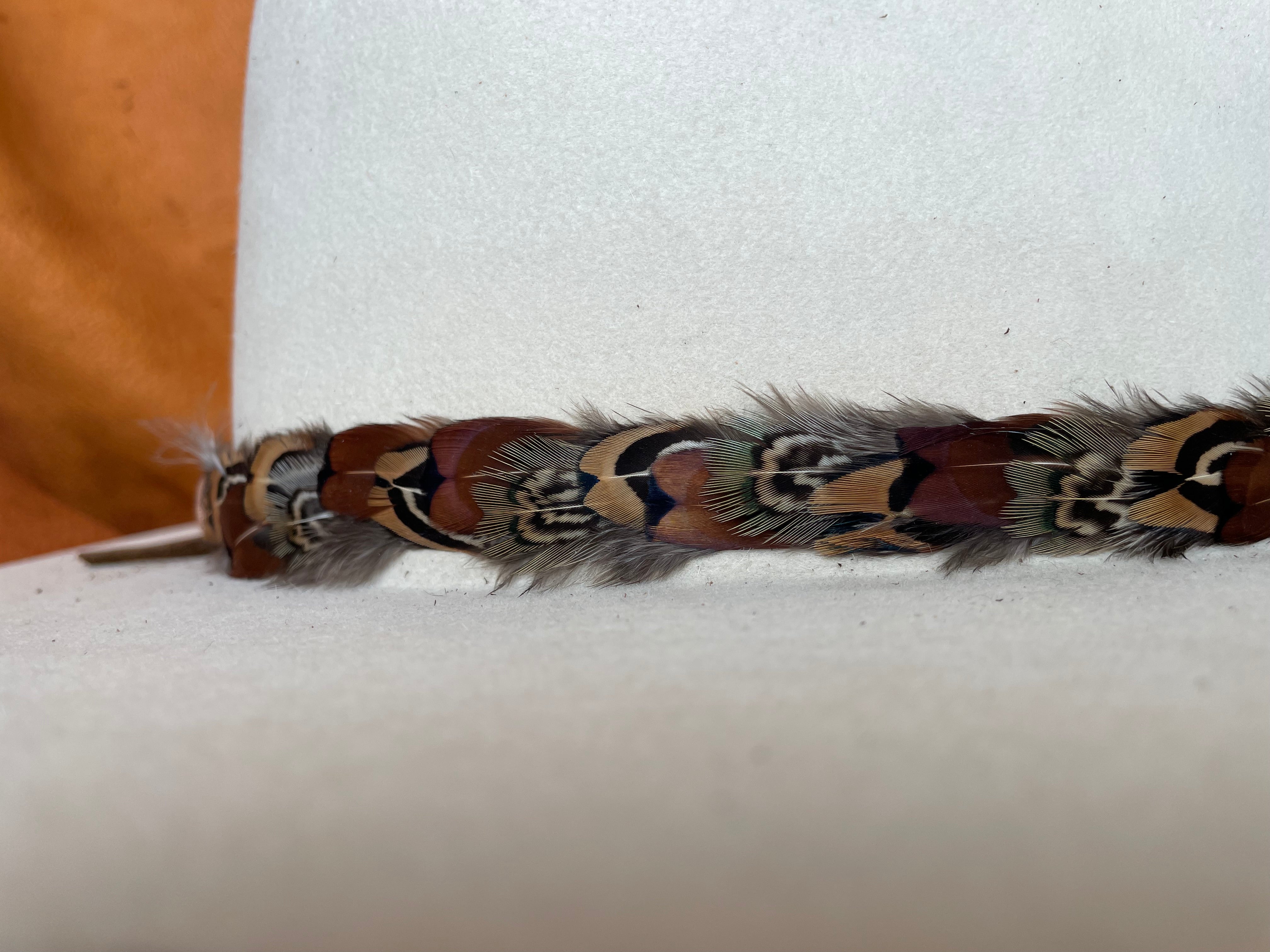 Close-up of structured feather pattern