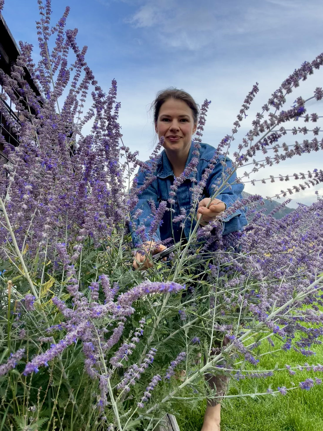 Short video of Olivia parting her blooming Russian sage plant, smiling toward the camera — symbolizing growth, creativity, and connection to nature.