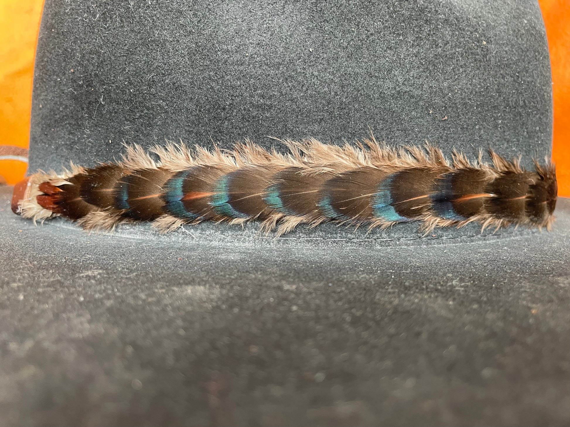 Close-up of green-sheen feathers in sunlight
