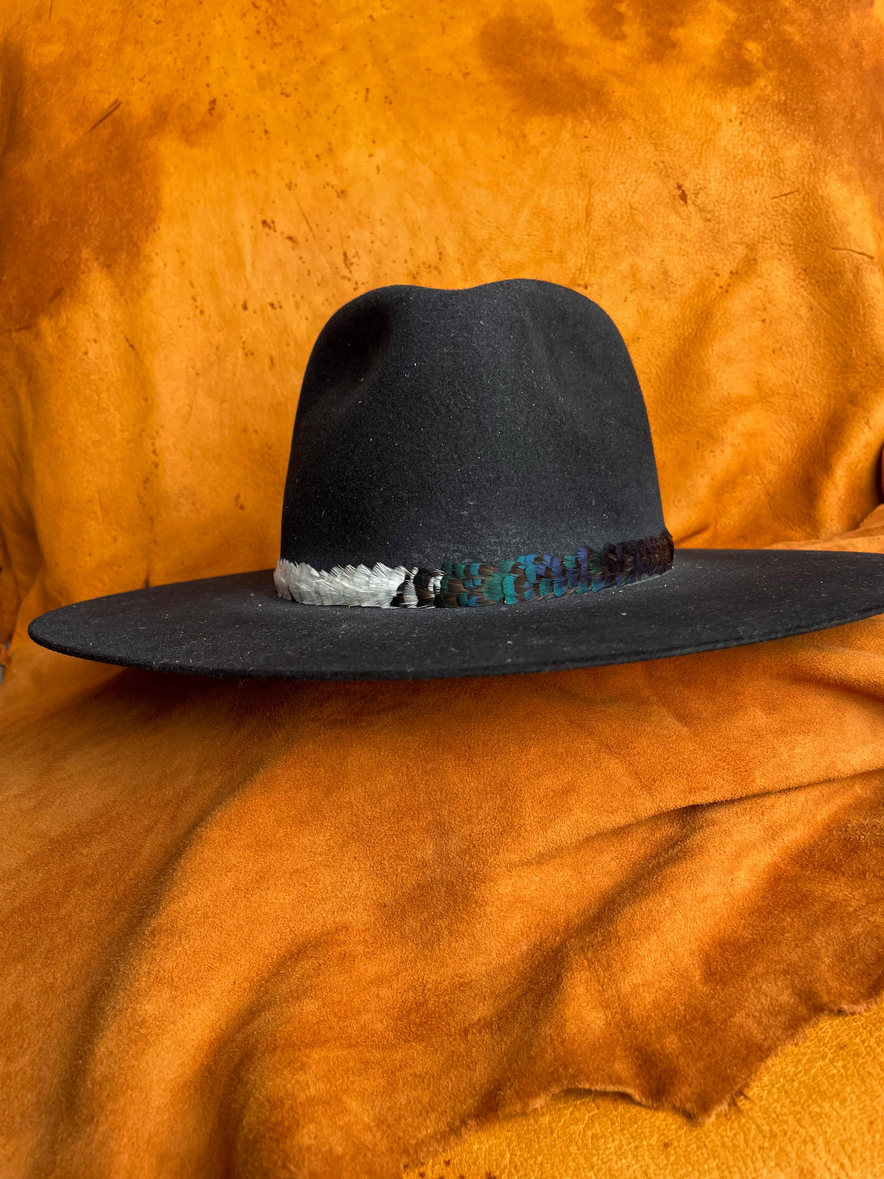 Bold feather band with contrasting natural colors shown on a black felt hat. 
