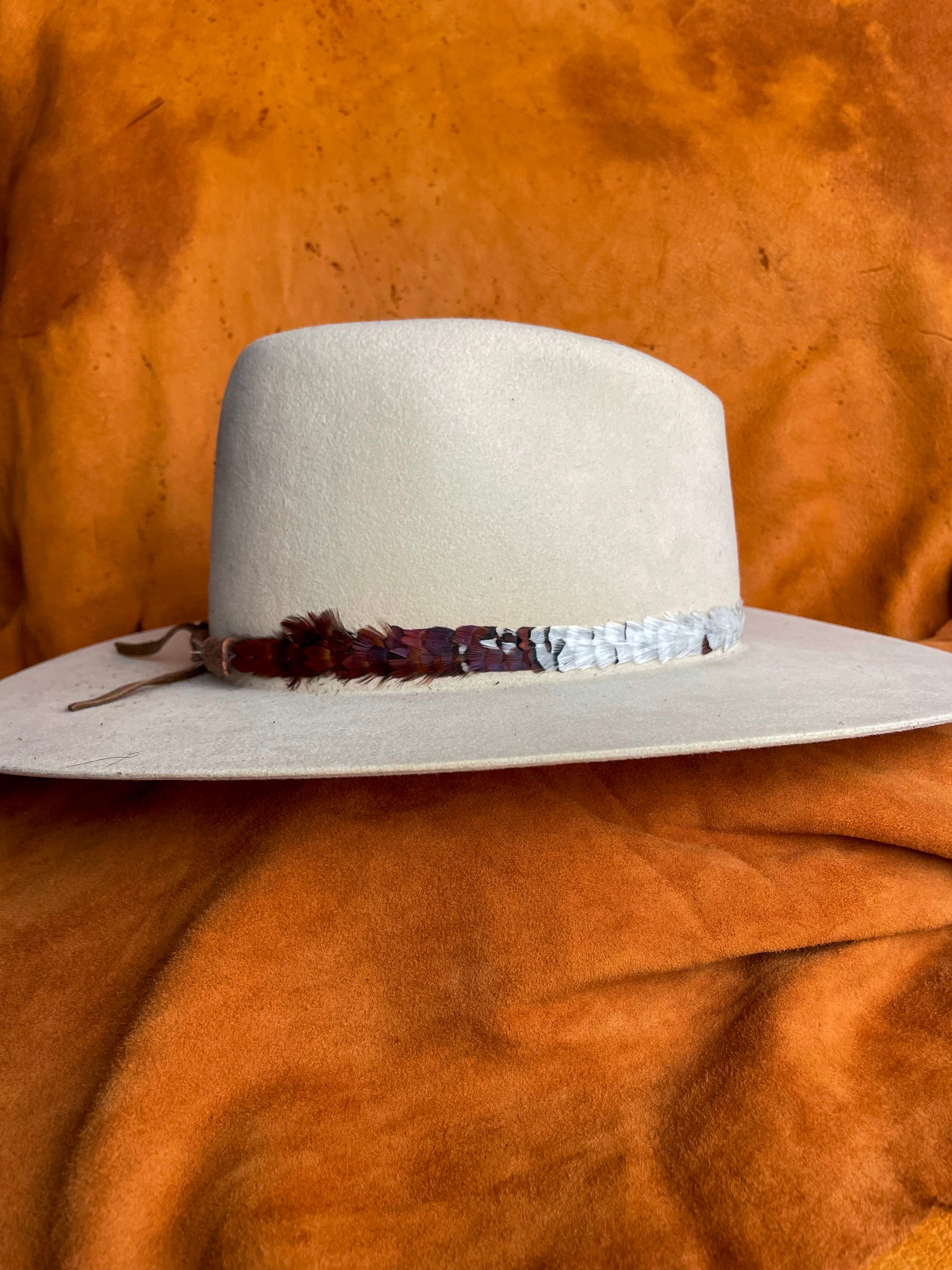 Bold feather band with contrasting natural colors.